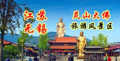 日本肏B大片江苏无锡灵山大佛旅游风景区